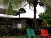 The Round House Restaurant, Carriacou