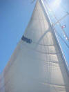 Uliad's mainsail hanging on for dear life