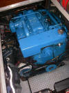 Newly painted Engine!!