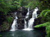 Another lovely waterfall on Taveuni